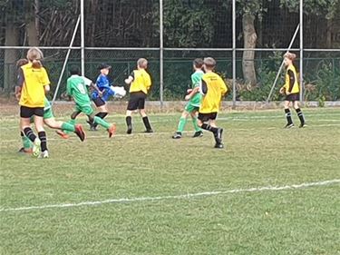 U12 Sparta Lille kloppen Achel VV - Hamont-Achel & Pelt