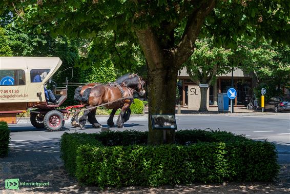 Uitdaging 4: Mobiliteit - Bocholt
