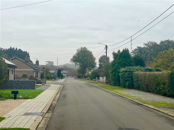 Uitkijken naar nest Aziatische hoornaars - Beringen