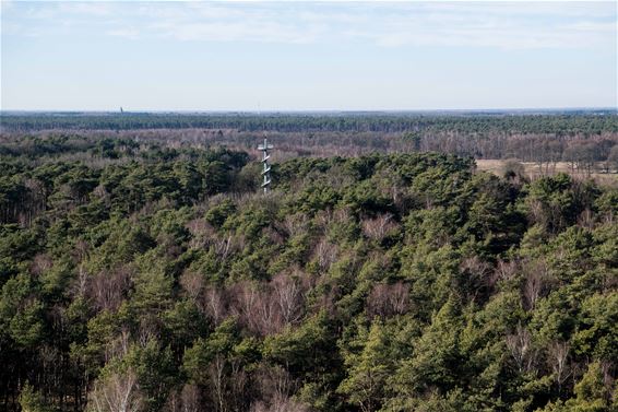 Uitkijktoren Koersels Kapelleke - Beringen