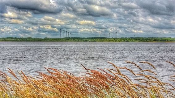 Uitzicht op zandput én de windmolens - Lommel