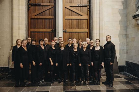 Uniek concert Amicantus o.l.v. Alexander Schneider - Beringen