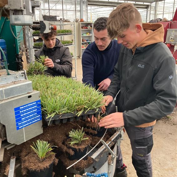 Unieke blik achter schermen plantenkwekerij - Bocholt