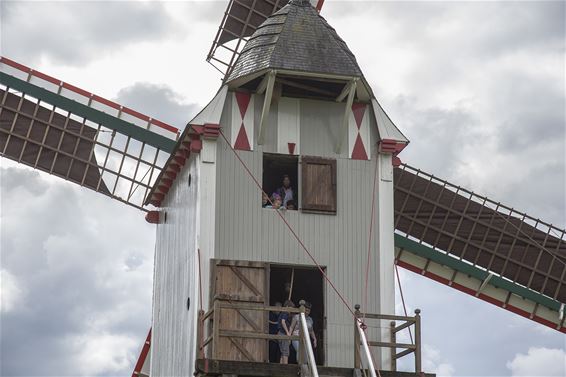 Unieke molenstage op de Sevensmolen - Overpelt