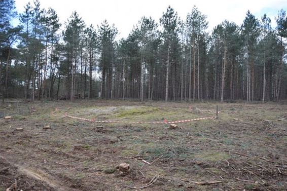 Urnengrafveld van Dorperheide definitief beschermd - Bocholt