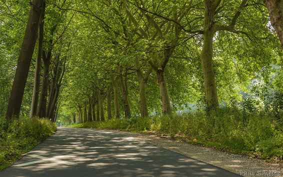 Vakantiegevoel langs het kanaal - Pelt