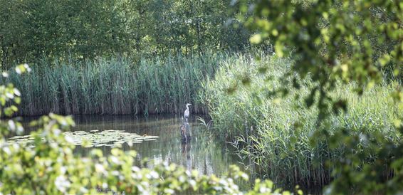 Vakantiegevoel vlak bij huis - Lommel