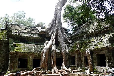 Vakantiegroeten uit... Cambodja - Overpelt