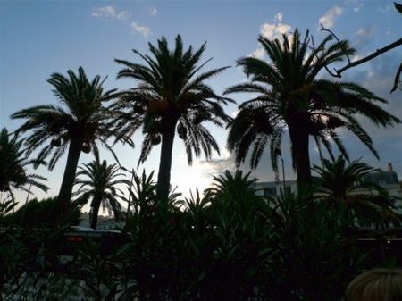 Vakantiegroeten uit... Collioure - Neerpelt