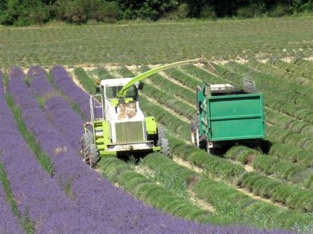 Vakantiegroeten uit... de Provence - Neerpelt