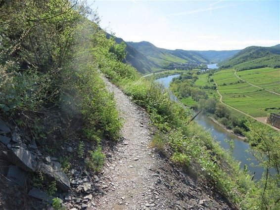 Vakantiegroeten uit... Duitsland - Hechtel-Eksel