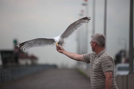 Vakantiegroeten uit... IJmuiden - Overpelt