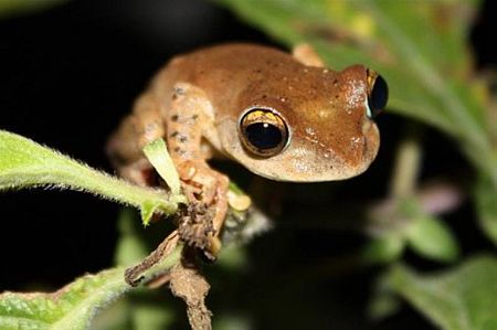 Vakantiegroeten uit... Madagascar - Overpelt