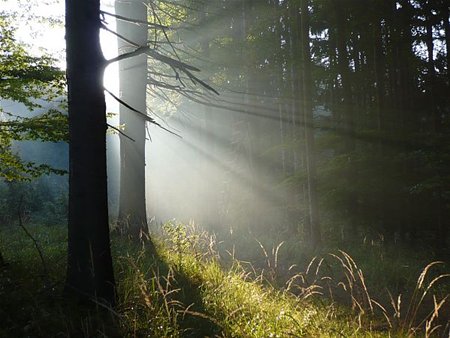 Vakantiegroeten uit... Tsjechië - Neerpelt