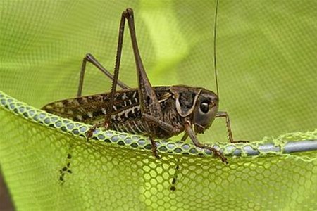 Vakantiegroeten uit... Zuid-Frankrijk - Overpelt