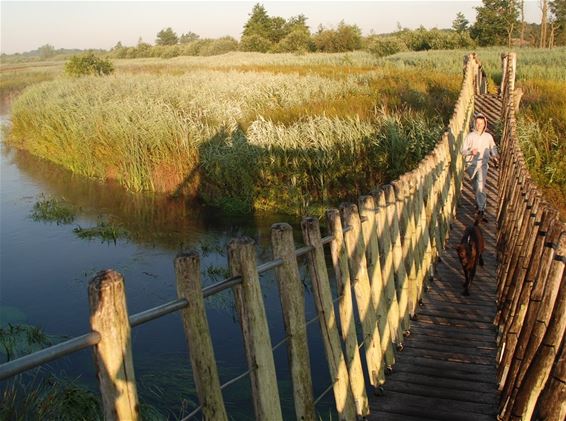 Vakantietip: ochtendwandeling in het Hageven - Neerpelt