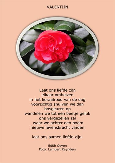 Valentijn... - Beringen & Leopoldsburg