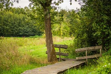 Vallei van de 3 beken - Beringen