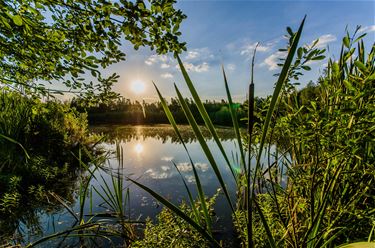 Vallei van de Zwarte Beek - Beringen