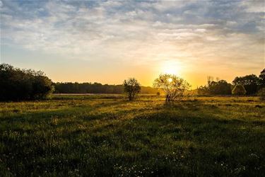 Vallei van de Zwarte Beek - Beringen