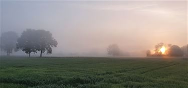 Vallei van de Zwarte Beek - Beringen