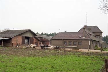 Van 40 naar 31 landbouwbedrijven - Beringen