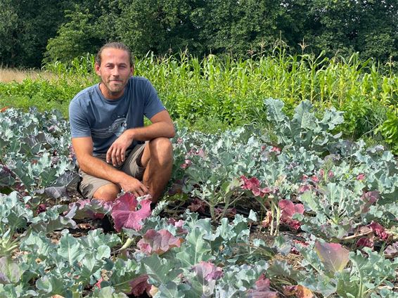 Van Goede Aard, agro-ecologisch landbouwbedrijf - Beringen