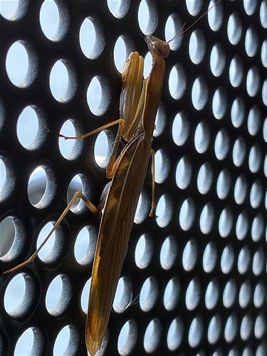 Van het slotklooster de natuur in... - Pelt