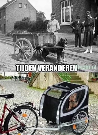 Van hondenkar naar hondenfietskar - Oudsbergen
