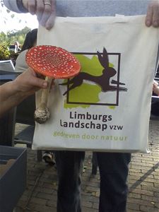 Van pompoendief tot kabouter op paddenstoel - Houthalen-Helchteren