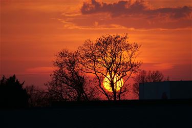 Van zon naar maartse buien - Beringen & Leopoldsburg
