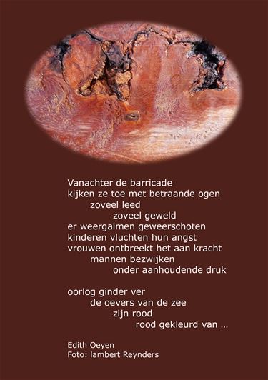 Vanachter de barricade - Beringen & Leopoldsburg