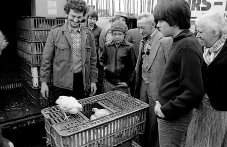 Vanaf april een 'teutenmarkt' in SHLille - Neerpelt