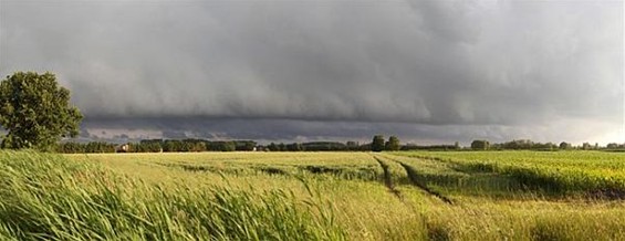 Vanavond gezien... - Neerpelt