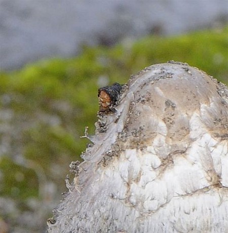 Vandaag gezien... - Overpelt