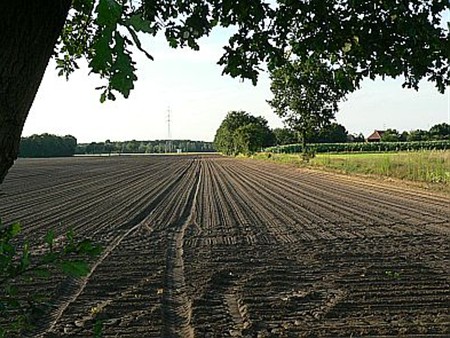 Vandaag gezien... - Neerpelt