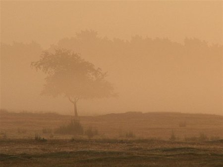 Vandaag gezien... - Neerpelt