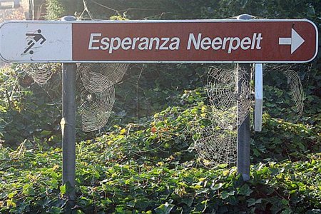 Vandaag gezien... - Neerpelt