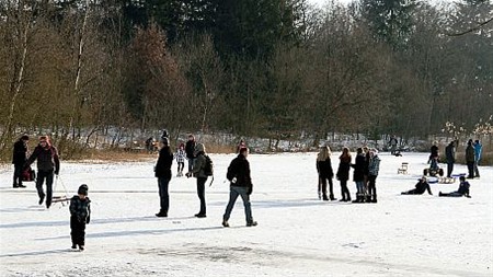 Vandaag gezien... - Hamont-Achel