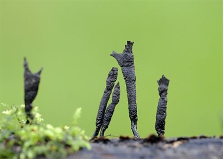 Vandaag gezien... - Overpelt