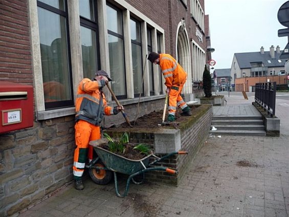 Vandaag gezien... - Meeuwen-Gruitrode