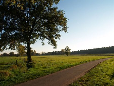 Vandaag gezien... - Neerpelt