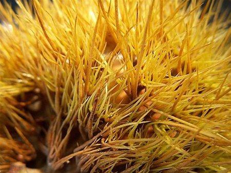 Vandaag gezien... - Lommel