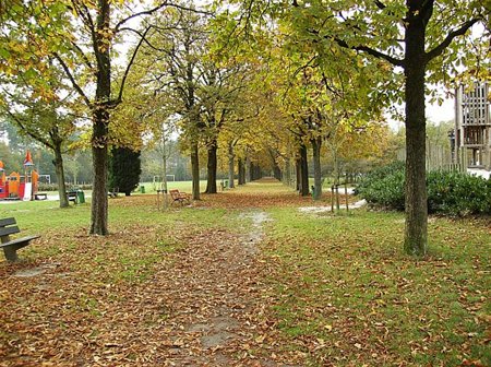 Vandaag gezien... - Neerpelt
