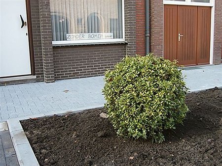 Vandaag gezien... - Neerpelt