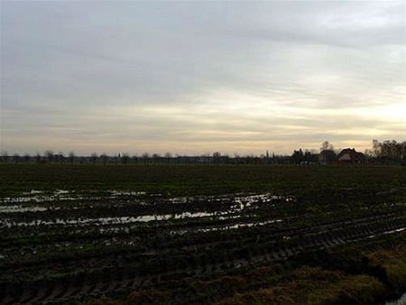 Vandaag gezien... - Neerpelt