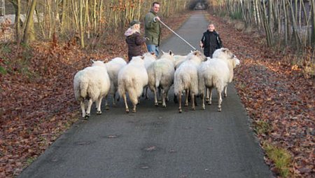 Vandaag gezien... - Overpelt