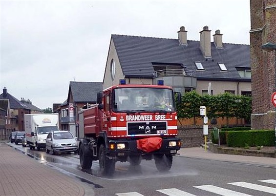 Vandaag gezien... - Meeuwen-Gruitrode