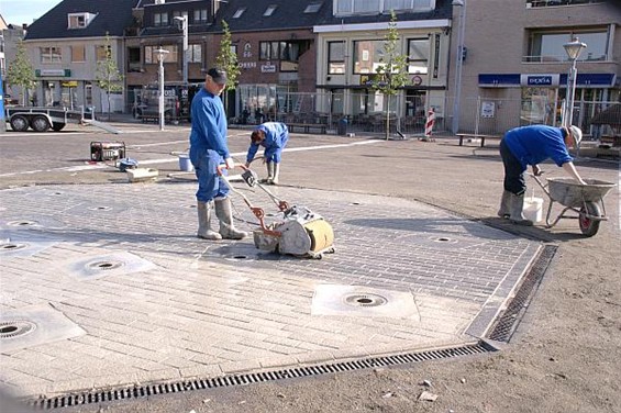 Vandaag gezien... - Overpelt