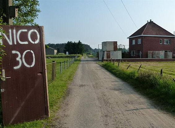 Vandaag gezien... - Meeuwen-Gruitrode